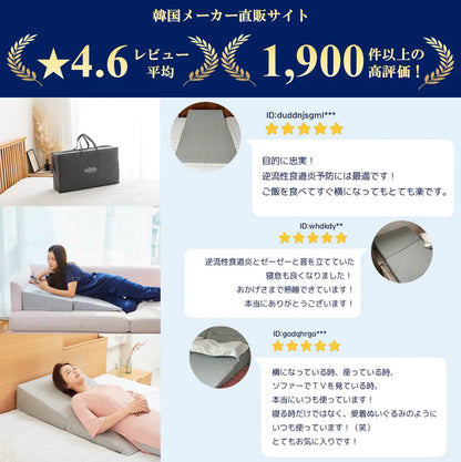 Dr.Shinウエッジピロー  新品【送料無料・３営業日以内に発送・ご使用後の返品OK】